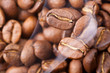 Coffee Beans Coffee Beans
