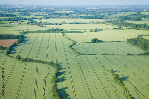 Photo: view over the early summer green fields view over the early summer green fields