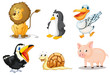 Group of animals