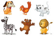 Group of animals