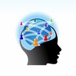 SOCIAL MEDIA - REDES SOCIALES