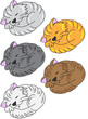 Sleeping kittens