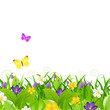 Flowers With Grass With Butterfly Flowers With Grass With Butterfly