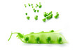 Pea isolated on white