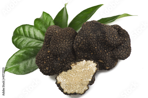 Foto: freshly harvested truffles freshly harvested truffles