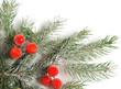 christmas background