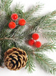 christmas background