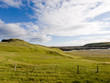 Icelandic meadow