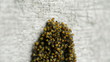 Pile of baby spiders close up