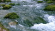mountain rivers of the Crimea.