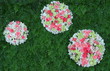 Beautiful Green backdrop flowers