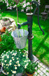 Ornamental old cast iron water pump