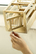 Hand opening cage