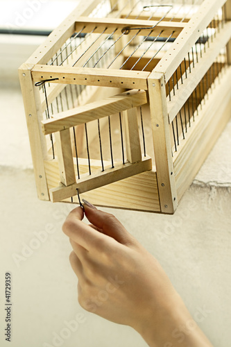 Photo: Hand opening cage Hand opening cage