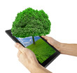 tablet