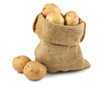Raw potatoes in burlap sack