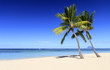 Plage de sable fin à l'île Maurice