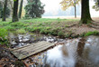 park with a pond