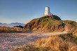 Llandwyn Island
