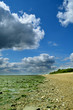 Photo: Low Tide Low Tide