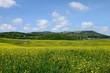 Crete Senesi