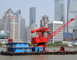 Red crane