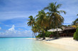 Photo: Restaurant and palmtrees on a tropical beach Restaurant and palmtrees on a tropical beach