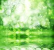 Abstract forest and sun.Reflection in water. Abstract forest and sun.Reflection in water.