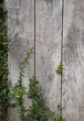 Wooden wall Wooden wall