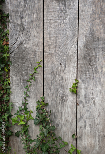 Фото: Wooden wall Wooden wall