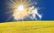 raps hügel sonne