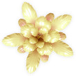 Ilustración: a gold echinopsis cactus flower isolated on white a gold echinopsis cactus flower isolated on white