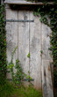 Old shed door Old shed door