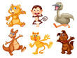 Animal series