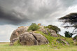 Serengeti kopjes con leoni