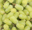 green grapes green grapes