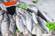 seafood