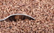 buckwheat background and one teaspoon buckwheat background and one teaspoon