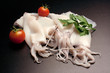 Calamari - Totani