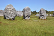 Famous standing stones at Carnac in France