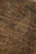 Photo: Dry soil texture Dry soil texture
