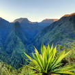 Aloes vert dit "choca" devant Mafate, La Réunion.