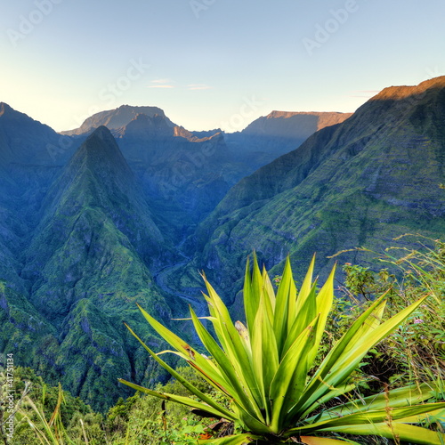 Photo: Aloes vert dit "choca" devant Mafate, La Réunion. Aloes vert dit "choca" devant Mafate, La Réunion.