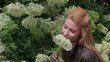 Frau riecht an Holunderblüten Frau riecht an Holunderblüten