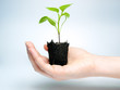 Photo: Future crop Future crop