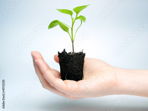 Photo: Future crop Future crop