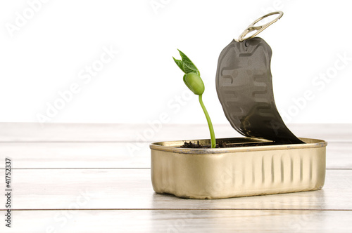 Foto: Fresh plant growing in a garbage can Fresh plant growing in a garbage can
