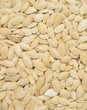 close-up of pumpkin seeds, food background