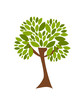 Spring tree