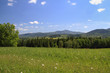 Spring landscape